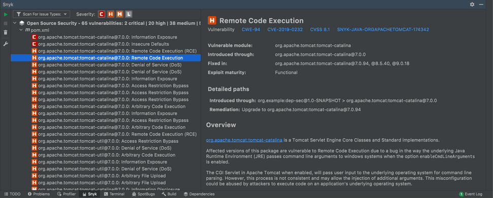 Snyk Dependency Scanning Results IntelliJ Plugin